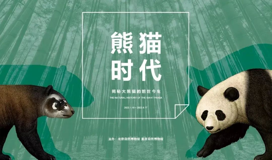 3月北京展訊丨最是一年春好處，最高人氣藝術(shù)大展等你去打卡...(圖10)